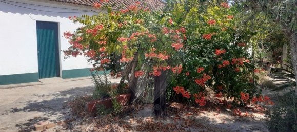 2 Schlafzimmer Haus in Coruche, Portugal, Nr. 75899 11