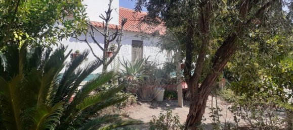 2 Schlafzimmer Haus in Coruche, Portugal, Nr. 75899 8