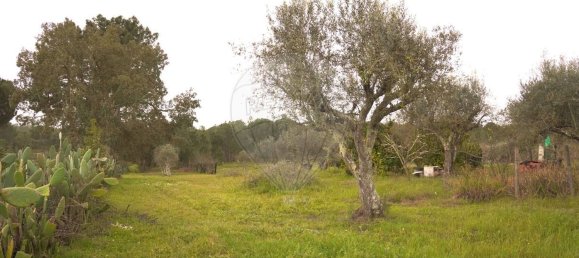 2 Schlafzimmer Haus in Coruche, Portugal, Nr. 75899 14