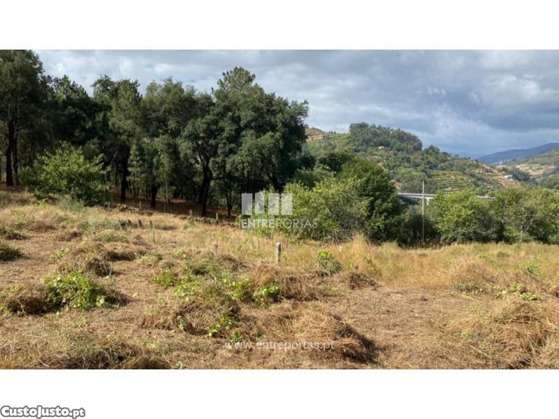 4200m² Land in Baiao, Portugal No. 50096