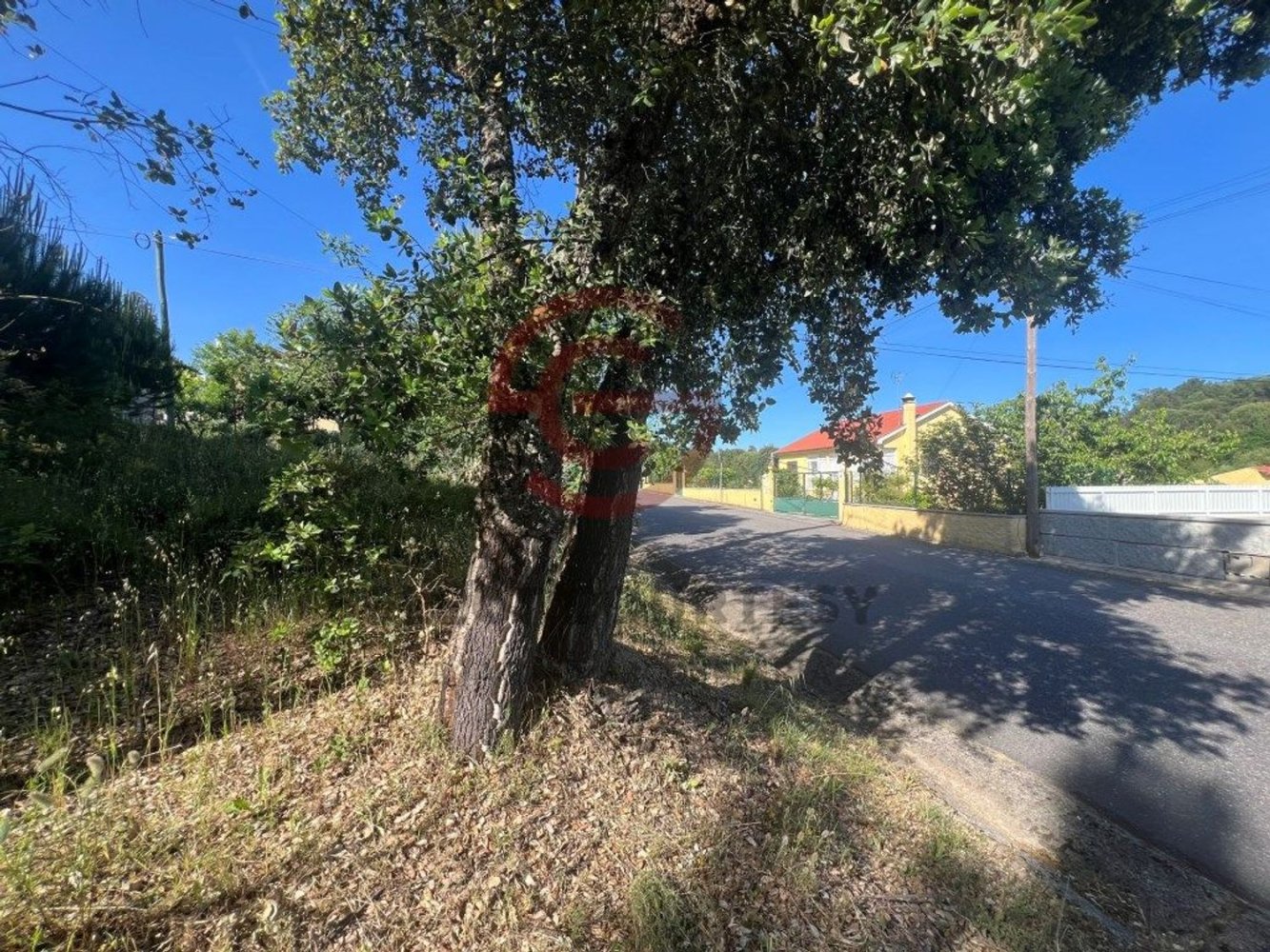  Land in Tabua, Portugal No. 232539