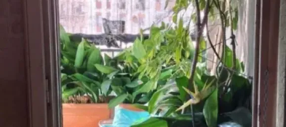 4 bedrooms Building in Sabadell, Spain No. 142262 13