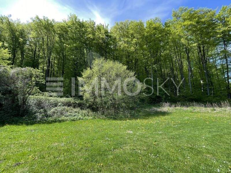 5 rooms House in Klosterneuburg, Austria No. 201954