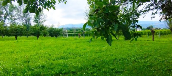 6130m² Land in Colceresa, Italy No. 265767 2