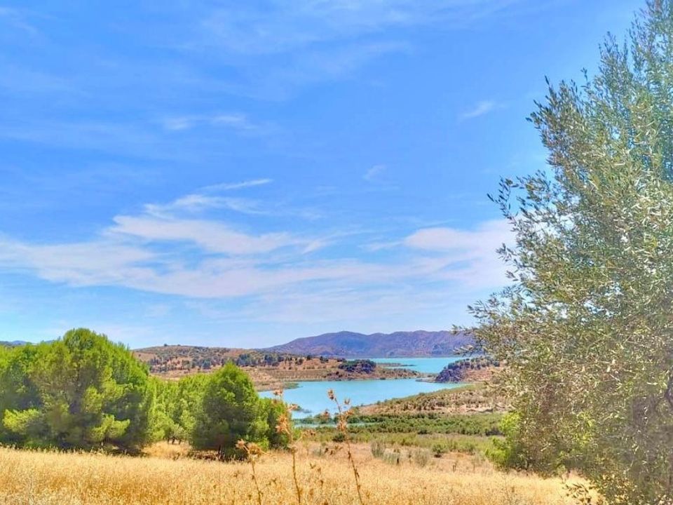  Land in Periana, Spain No. 219152