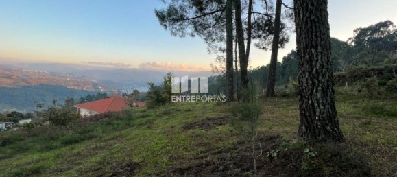 2500m² Land in Marco de Canaveses, Portugal No. 61766 13