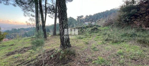 2500m² Land in Marco de Canaveses, Portugal No. 61766 11