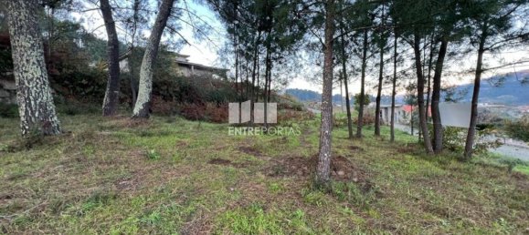 2500m² Land in Marco de Canaveses, Portugal No. 61766 30