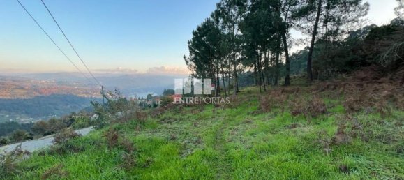 2500m² Land in Marco de Canaveses, Portugal No. 61766 28