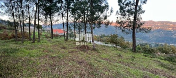 2500m² Land in Marco de Canaveses, Portugal No. 61766 5