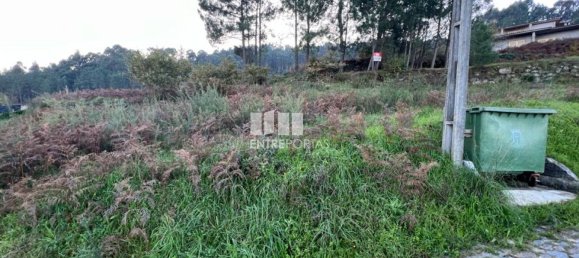 2500m² Land in Marco de Canaveses, Portugal No. 61766 24