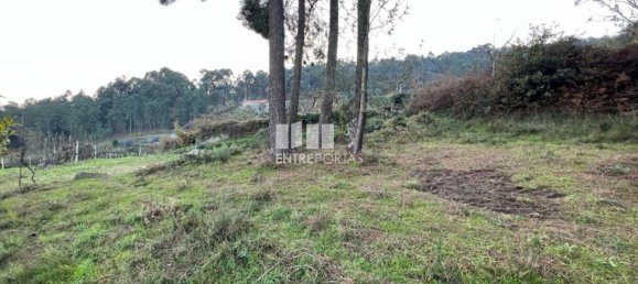 2500m² Land in Marco de Canaveses, Portugal No. 61766 16