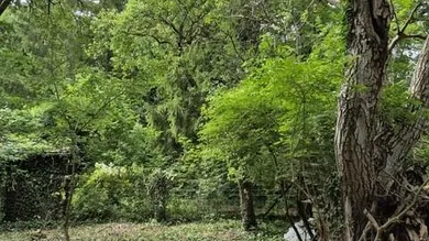 Grundstück in Willendorf, Austria, Nr. 105963