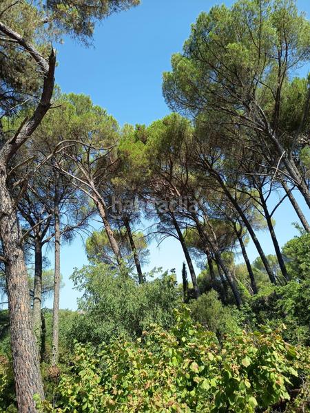 5 Schlafzimmer Haus in Cordoba, Spain, Nr. 171367