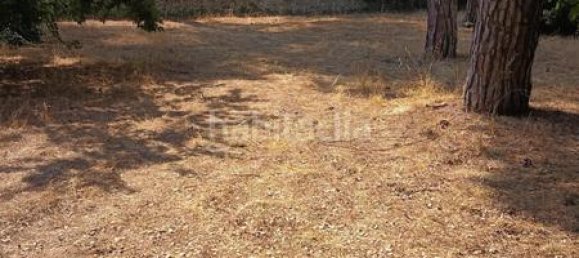 5 Schlafzimmer Haus in Cordoba, Spain, Nr. 171367 17