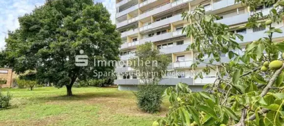 Estúdio em Rhein-Neckar-Kreis, Germany N.º 317116 4