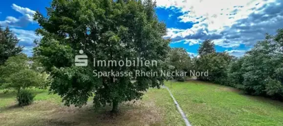 Estúdio em Rhein-Neckar-Kreis, Germany N.º 317116 9