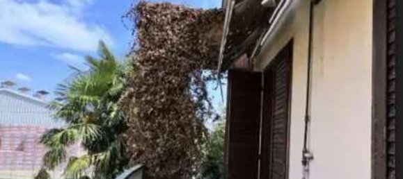 3-salle Appartement à Cesano Maderno, Italy No. 186877 12