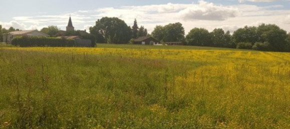  Land in Magnan, France No. 82800 7