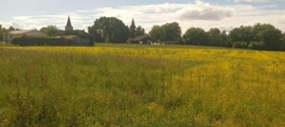  Land in Magnan, France No. 82800 5