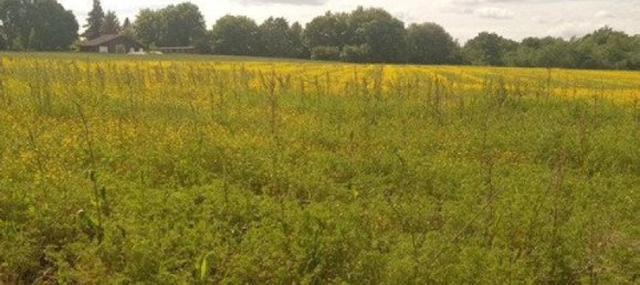  Land in Magnan, France No. 82800 10