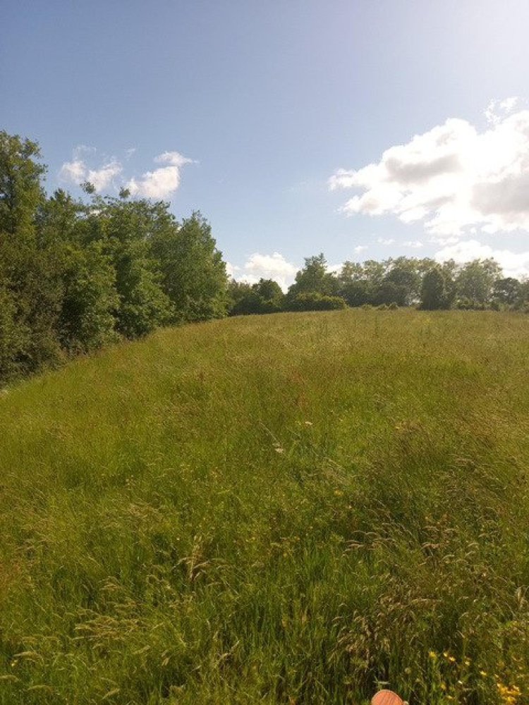  Land in Magnan, France No. 82800