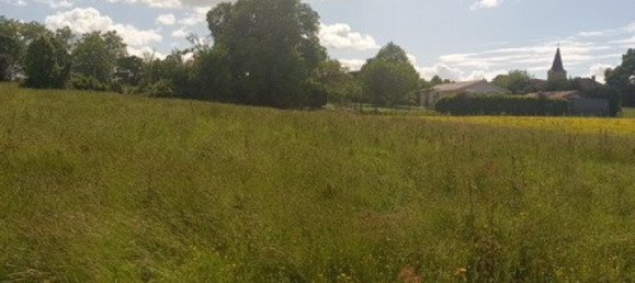  Land in Magnan, France No. 82800 4