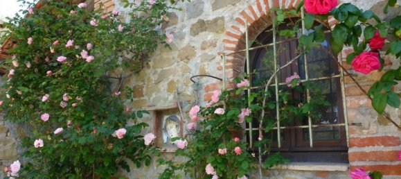 12 rooms House in Castiglione del Lago, Italy No. 56043 6