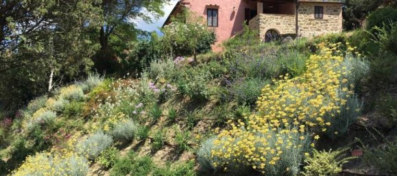 12 rooms House in Castiglione del Lago, Italy No. 56043 14