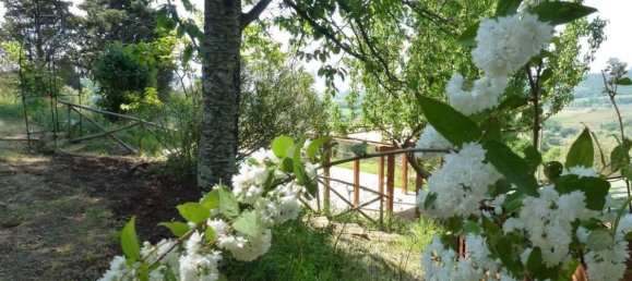 12 rooms House in Castiglione del Lago, Italy No. 56043 19