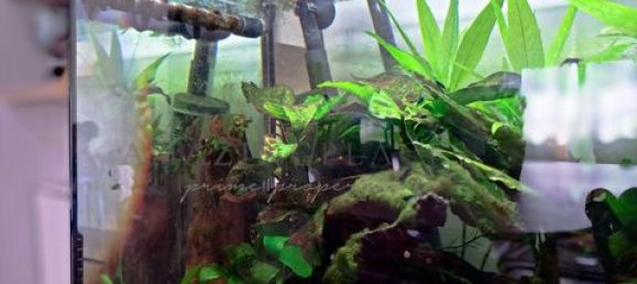 2 bedrooms Apartment in Quinta do Conde, Portugal No. 147310 6