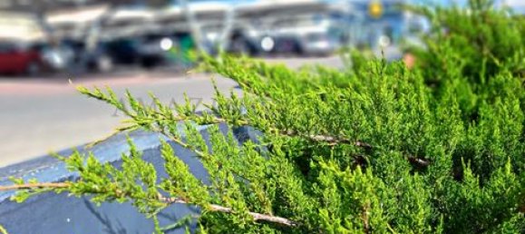 2 bedrooms Apartment in Quinta do Conde, Portugal No. 147310 27