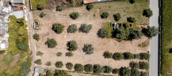 3 Schlafzimmer Haus in Coimbra, Portugal, Nr. 160767 3