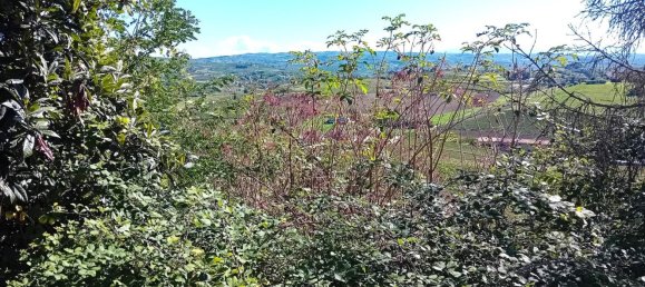 7 غرف نوم منزل في Costigliole d'Asti, Italy رقم 313041 15