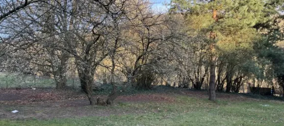 5 bedrooms House in Saarland, Germany No. 98692 4