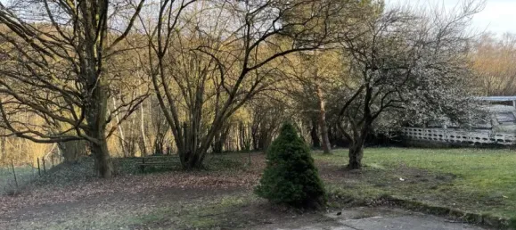 5 bedrooms House in Saarland, Germany No. 98692 5