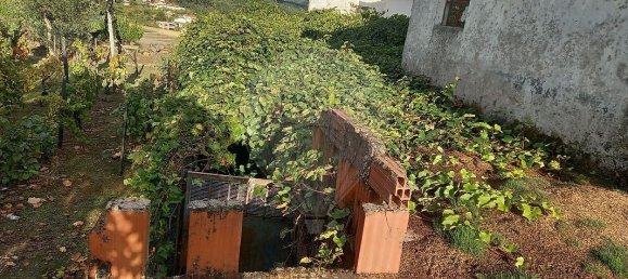 2 Schlafzimmer Haus in Lordelo, Portugal, Nr. 182970 22