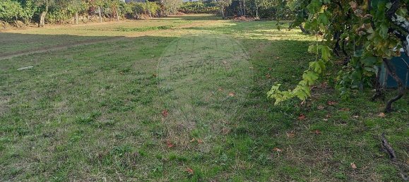 2 Schlafzimmer Haus in Lordelo, Portugal, Nr. 182970 27