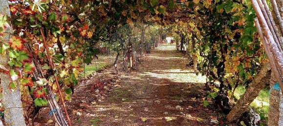 2 Schlafzimmer Haus in Lordelo, Portugal, Nr. 182970 23