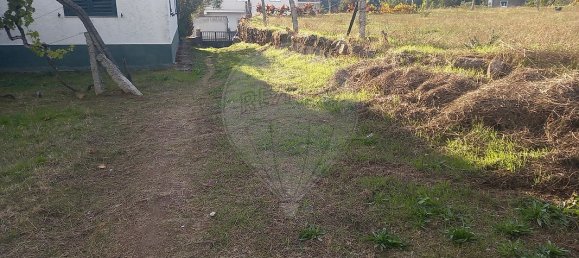 2 Schlafzimmer Haus in Lordelo, Portugal, Nr. 182970 24