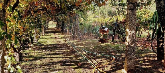 2 Schlafzimmer Haus in Lordelo, Portugal, Nr. 182970 7