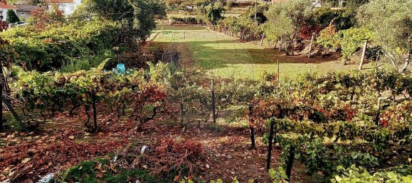 2 Schlafzimmer Haus in Lordelo, Portugal, Nr. 182970 21