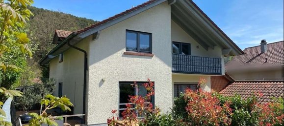 Дом с 7 комнатами в Юго-западный Пфальц, Германия № 223273 3