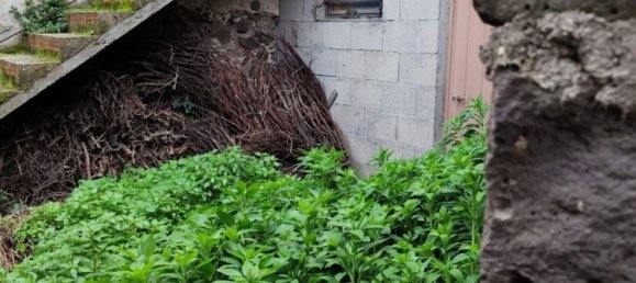 3-Zimmer Haus in Ghilarza, Italy, Nr. 299001 7