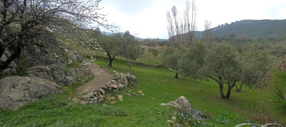 4 bedrooms House in Alcaucin, Spain No. 45136 17