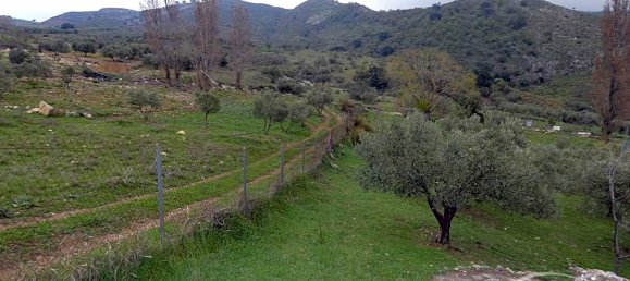 4 bedrooms House in Alcaucin, Spain No. 45136 16