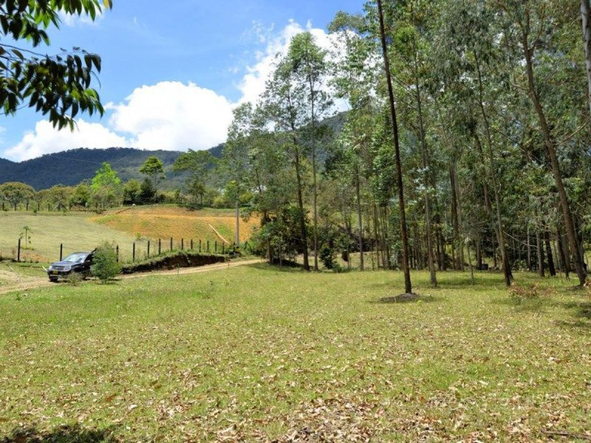  Land in Antioquia, Colombia No. 773