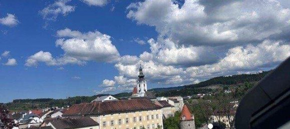 Квартира с 3 комнатами в Фрайштадт, Австрия № 138501 10