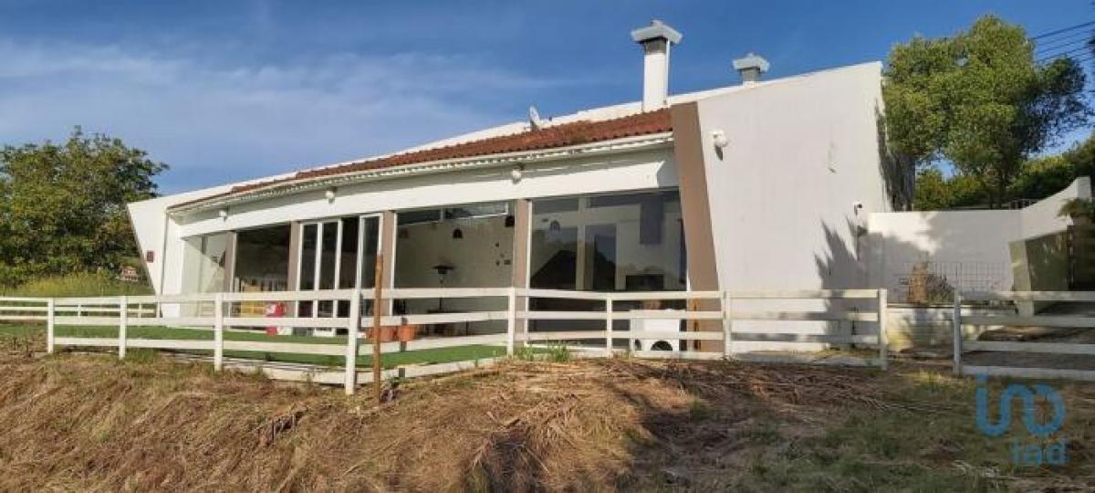 288m² Shop in Caldas da Rainha, Portugal No. 8204