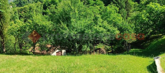 3 rooms House in Villa Collemandina, Italy No. 272469 16